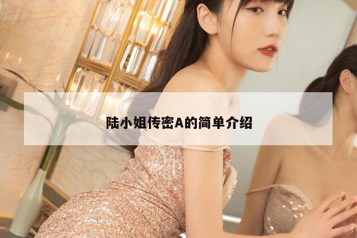 陆小姐传密A的简单介绍